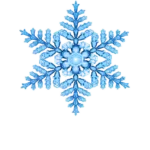 BRF-Medlem favicon